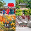 도서관에서 만나는 조선시대 국가유산 | 국가유산 방문 캠페인 왕가의 길 계절별로 가기 좋은 수도권 가볼만한곳 BEST4