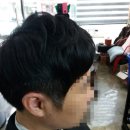 김컷트&컷트