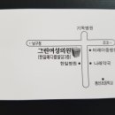 그린메디칼의원 이미지