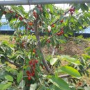 신현중농장 이미지