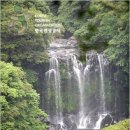 천제연폭포 이미지