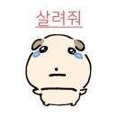 더플러스치과 - 파주시 청암로17번길 17 | 더플러스치과