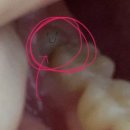 연세공감치과의원 이미지