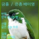 긍휼의집 이미지