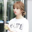 공심이 이미지