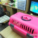 장우진동물병원 이미지