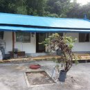 이집이그집이야 이미지