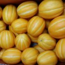 충렬농장 이미지