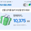 1월 26일 출석부 - 밤 산책 이미지