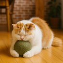 (주)리빙홀릭 이미지