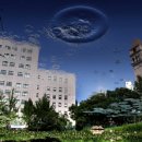 세종대학교 이미지