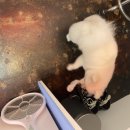 살롱드삐삐 이미지