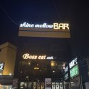 보스캣(BossCat)
