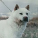 제이.케이