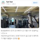 짐나빌레라 이미지
