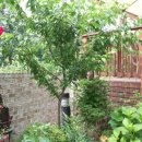 처남목장 이미지