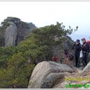 군산 아리랑 산악회 12월 정기산행 (고정봉.문덕봉) 이미지