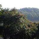 망산마을 이미지