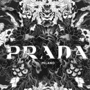 아쿠아이즈 이미지