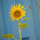 영어와 Craft 이미지