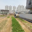 청수농장 이미지