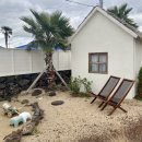 스테이 겨를 이미지