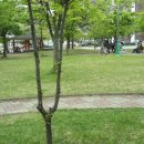 대현어린이공원 이미지