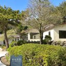 티룸동백 이미지