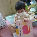 로뎀나무도서관 이미지