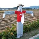 허수아비 이미지