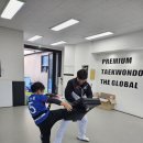 세교 태권도장 이미지