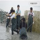 선정은하수꼬막마을 이미지