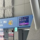 디디피엘 | 무비자로 떠난 가족여행 상하이 3박 4일 1일차!