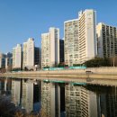 도안삼성공인중개사사무소 | [대전 공인중개사 인사이트] &#39;둔산동 vs 도안신도시&#39; 최근 대전 부동산 시장의 숨겨진 흐름을 읽다.