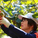 신선식품 이미지