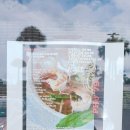 포79(PHO79) 네이버블로그