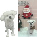 용전네거리(하나은행) 이미지