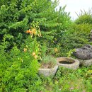 카페수목원 이미지