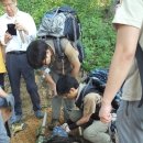 지리산 반달곰 김천 수도산으로 두번이나 이동 이미지