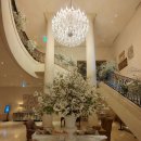 힐링이 있는 거리공연 | 3월 서울 공연 라움아트센터 《바이올리니스트 이로아 독주회》 관람 후기 (3월 수아레 콘서트 추천!)