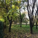 새아침공원(테니스장 옆) 이미지