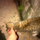 그래 거기 이미지