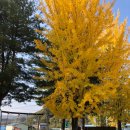 송화목장 이미지