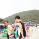 꼬란 네이버블로그