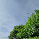 보산원초등학교 이미지