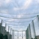 스타스크린골프 이미지