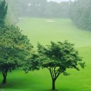 뉴코리아 이미지