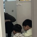 하쥬니네