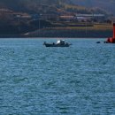 해맑은바다 이미지