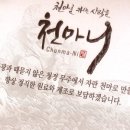 안성면099 이미지